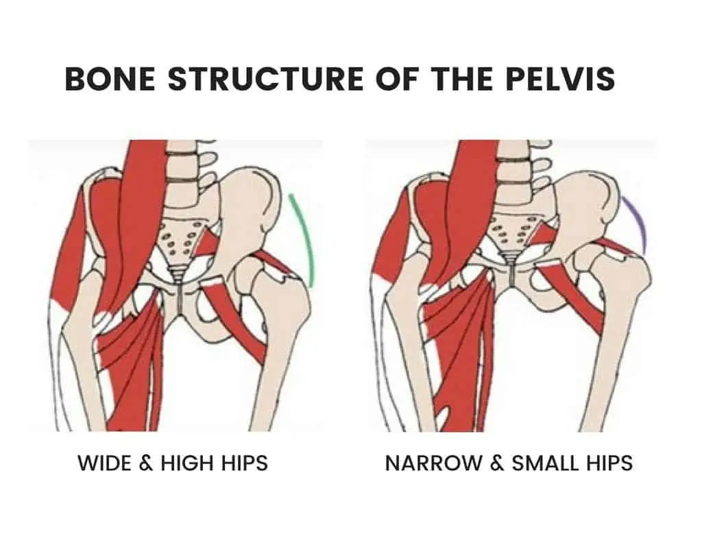 Beyond the Hype: Understanding the Science Behind Hip Dips