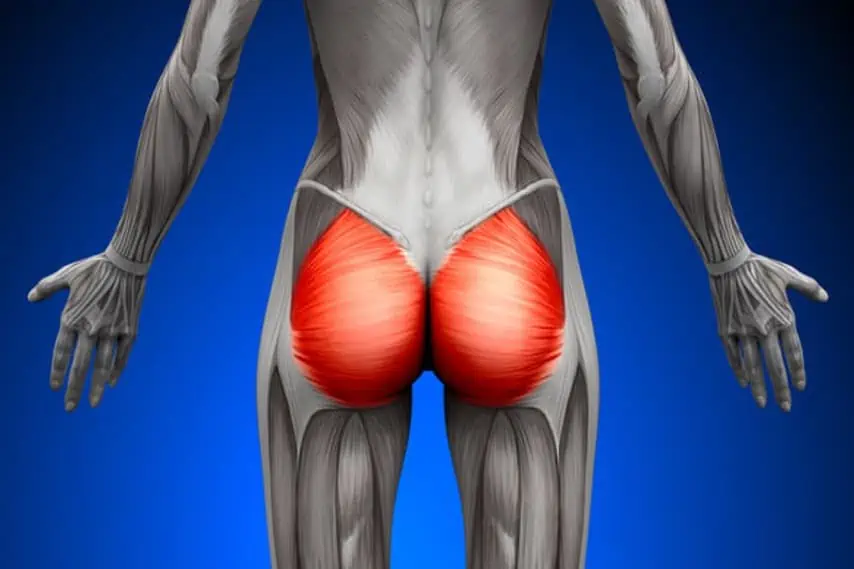 Beyond the Hype: Understanding the Science Behind Hip Dips